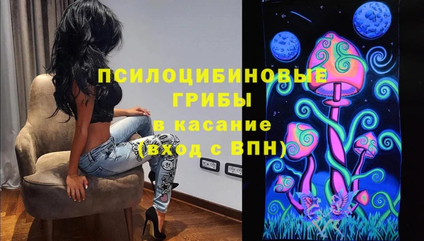 трава Беломорск