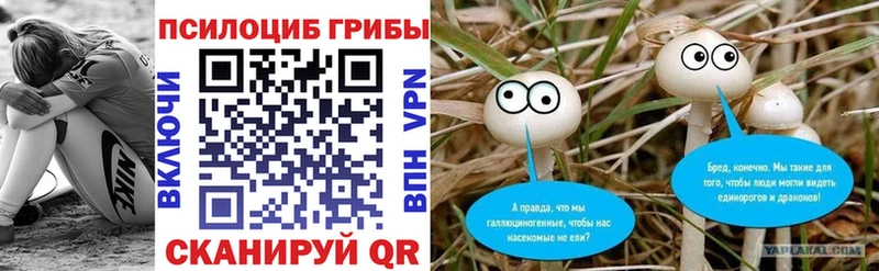 что такое   Чулым  Галлюциногенные грибы Magic Shrooms 